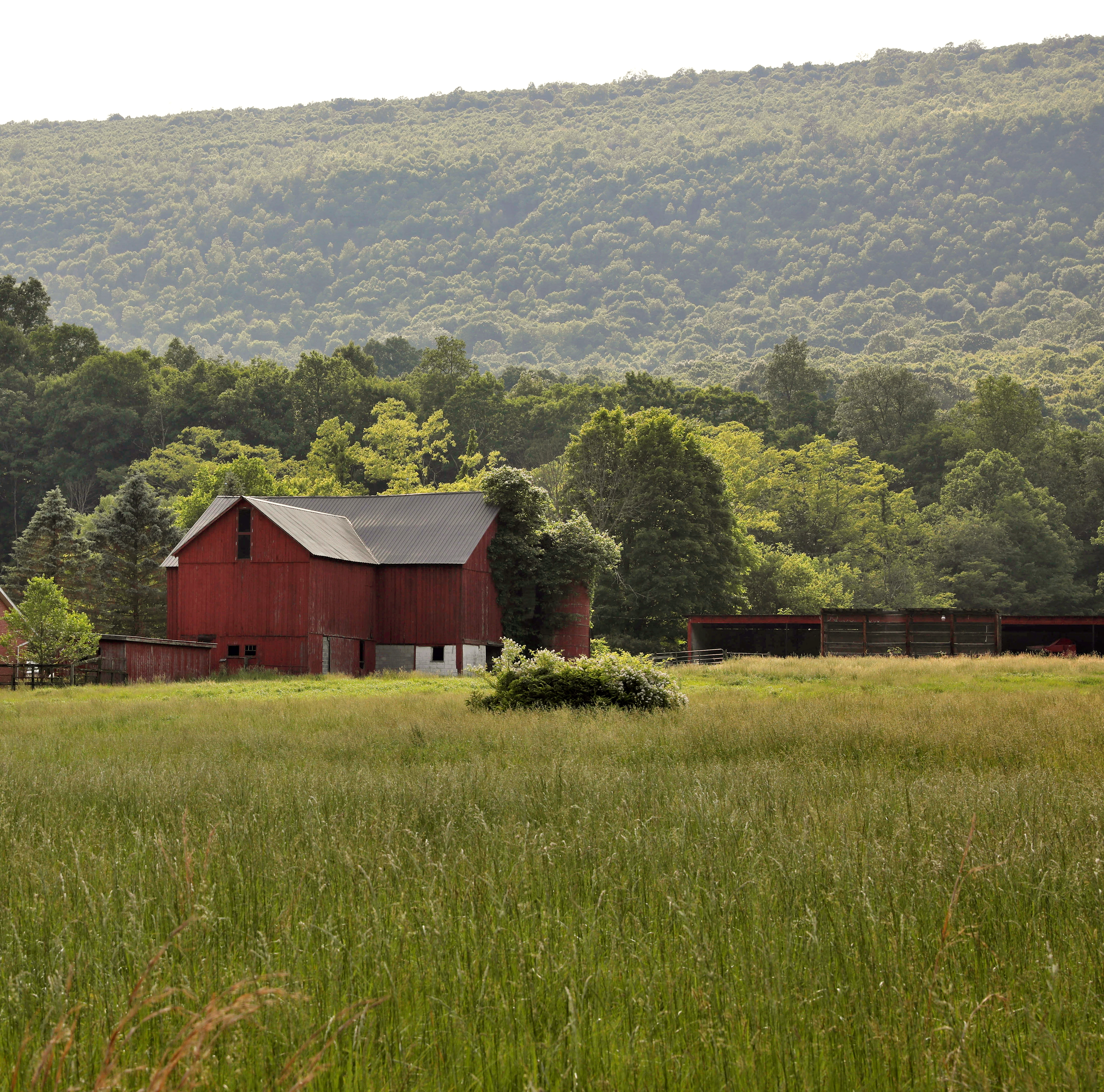 Barn-Spring